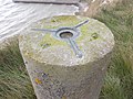 Thumbnail for File:Trig Point - Shakespeare Cliff - geograph.org.uk - 3707502.jpg