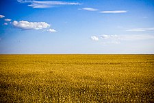 Typical agricultural landscape of Kherson Oblast.jpg