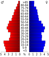 Bevolkingspiramide Dallas County