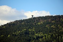 Aussichtsturm Alpenblick