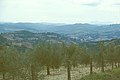 umbrische Landschaft bei Umbertide