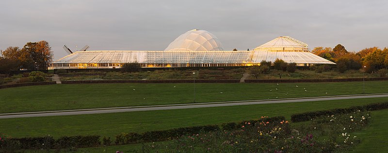 File:Væksthuset botanisk have Aarhus.jpg