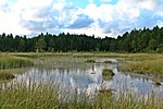 Thumbnail for Valgejärv Landscape Conservation Area