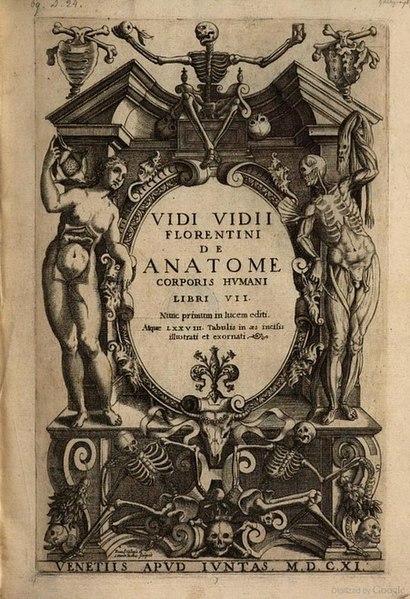 File:Vidus Vidius (1509-1569) 2.jpg