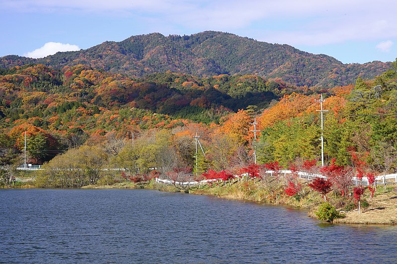 File:View of Sanageyama, Nishinakayama-cho Toyota 2013.jpg