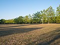 * Nomination Meadows of Olarizu Park. Vitoria-Gasteiz, Basque Country, Spain --Basotxerri 20:24, 11 September 2016 (UTC) * Promotion  Support Good quality.--Famberhorst 04:50, 12 September 2016 (UTC)