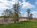 EU-Vogelschutzgebiet "Jagst mit Seitentälern", südlich von Stimpfach, Blick flussabwärts Richtung Stimpfach