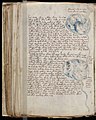 Voynich Manuscript (154).jpg