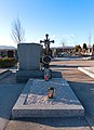 wikimedia_commons=File:War memorial on the cemetery Vösendorf, Lower Austria, Austria-grave PNr°0660.jpg