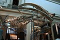 Whale Skeleton (10436590105).jpg