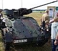 Miniatuur voor Wiesel (pantservoertuig)
