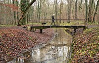 Wietzegraben mit Fußgängerbrücke im Misburger Wald