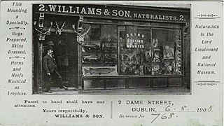<span class="mw-page-title-main">Williams & Son, Dublin</span>