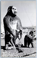 2517 - Gorilla at Totem Pole Park, Crescent City