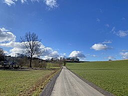 Zufahrt zur Büchermühle und Büchen (Halver)