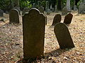 Čeština: Náhrobky s kohenskými rukami na židovském hřbitově v Batelově, okres Jihlava. English: Gravestones with Kohanim hands and a tree in the Jewish cemetery by the village of Batelov, Jihlava District, Vysočina Region, Czech Republic. This is a photo of a cultural monument of the Czech Republic, number: 27600/7-4693. Památkový katalog  · MIS  · hledat obrázky  · hledat seznamy  · Wikidata