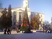 Новорічна ялинка перед ратушею (31 грудня 2008)
