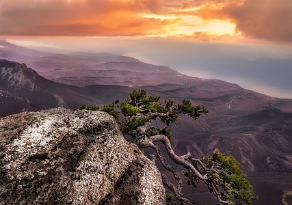 Dawn on South Demerdji, Alushta, Crimea, Ukraine Author: Сак Анастасія