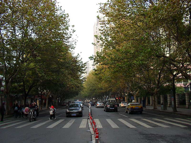 File:朗州路-秋 - panoramio.jpg