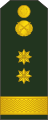 Знаки розрізнення підполковника Збройних сил Молдови