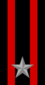 13. Infanteridivision "Re" Collar Insignia.png