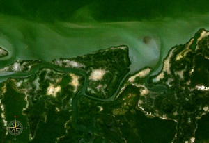 NASA World Wind satellite image: The Gambia flows in the image section in a westerly direction, the left bank of the river can be seen.