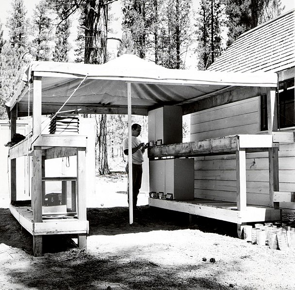 File:1963. Charles Sartwell and the rearing setup for Ips oregonis studies at Pringle Falls Experimental Forest. La Pine, Oregon. (33901524504).jpg