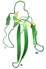 Vorschaubild für Drei-Finger-Toxine