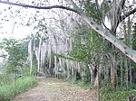 Thumbnail for Laguna de Sonso Nature Reserve