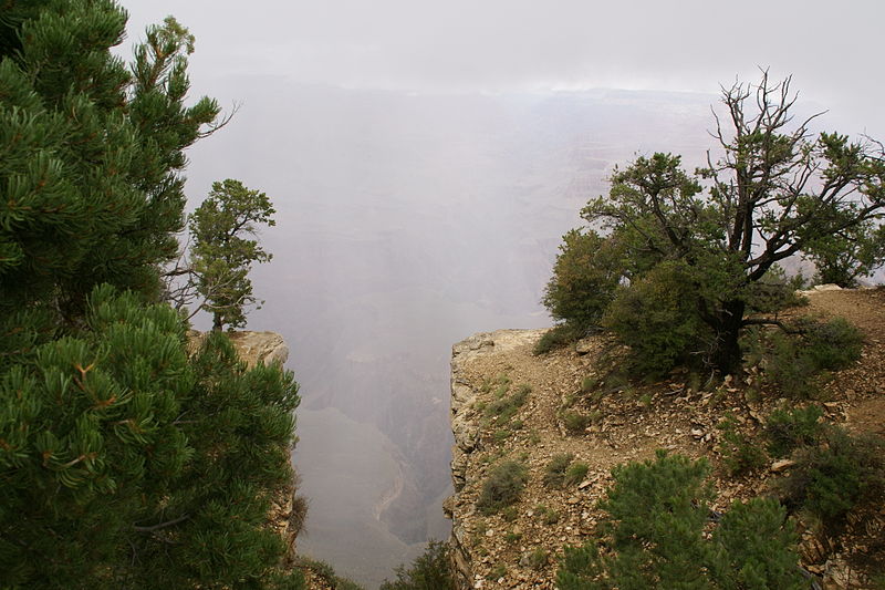File:2012.09.13.105748 View Fog Yavapai Point Grand Canyon Arizona.jpg