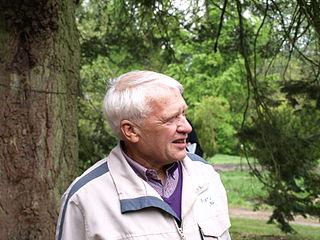 Piet de Jong (dendrologist)