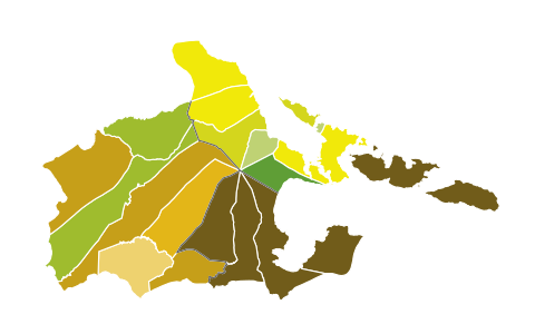 2019 Albay Congressional Elections by Municipality.svg
