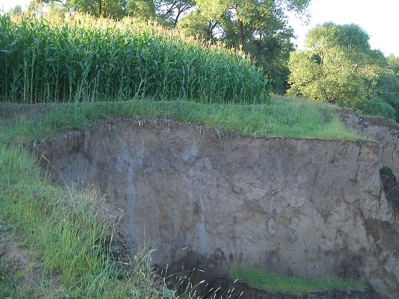 File:5767-Linxia-Wanshou-Guan-erosion.jpg