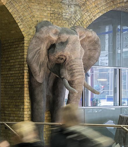 Elephant by Kendra Haste, located in the Jubilee Line Ticket Hall