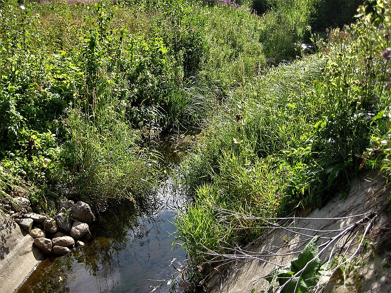 File:6938.3. Peterhof. Shingarka River.jpg