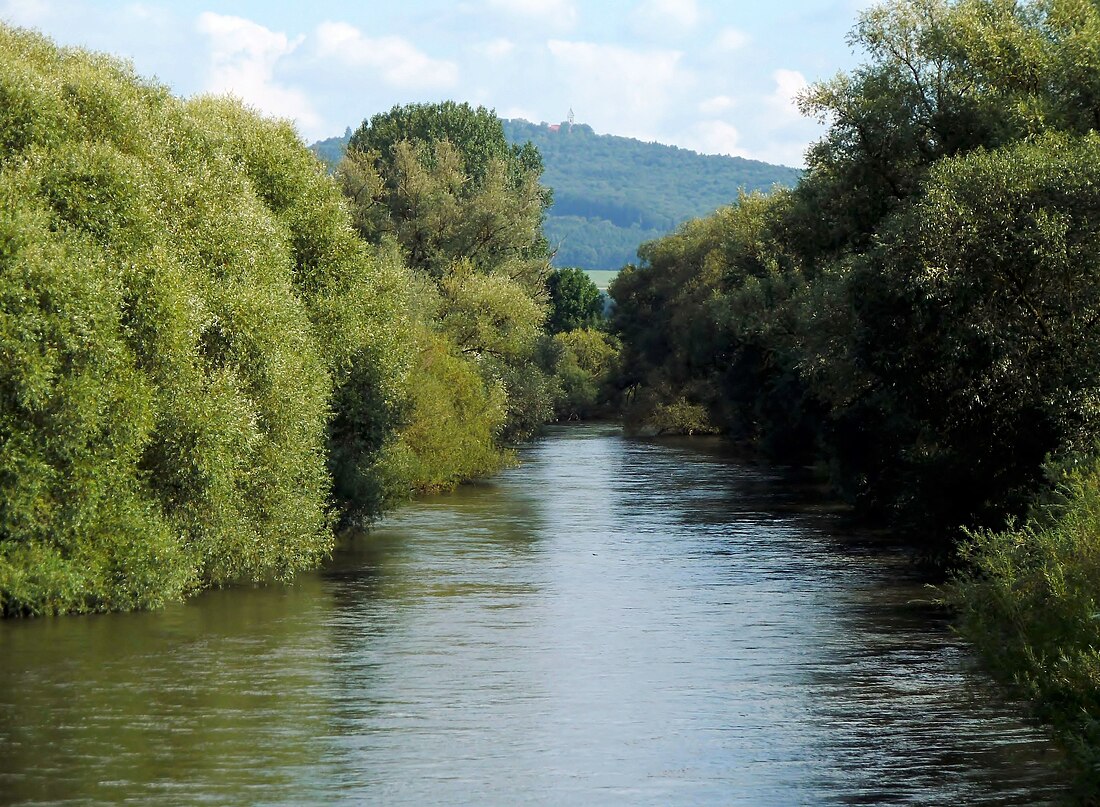 Donau zwischen Munderkingen und Riedlingen