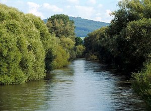 The Danube near Zell