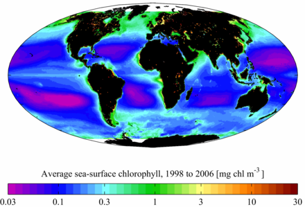 叶绿素a（英语：chlorophyll a）平均表面积地图（1998–2006年），对数尺度范围从浅紫色代表的0.03mg/m³ 到深红色代表的30 mg/m³。