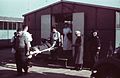 In a field hospital of the German Red Cross during the WWII in Serbia, 1940