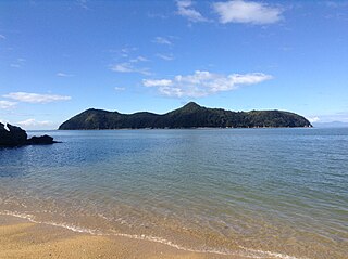 <span class="mw-page-title-main">Motuareronui / Adele Island</span> Island in New Zealand