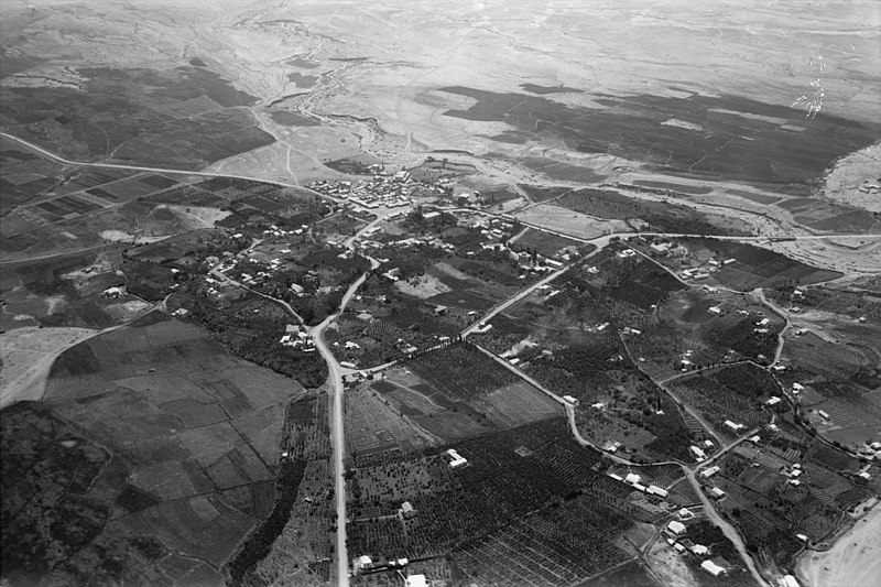 File:Air views of Palestine. Air route following the old Jerusalem-Jericho Road. Modern Jericho. Taken above the Ain Sultan road looking S. LOC matpc.22116.jpg