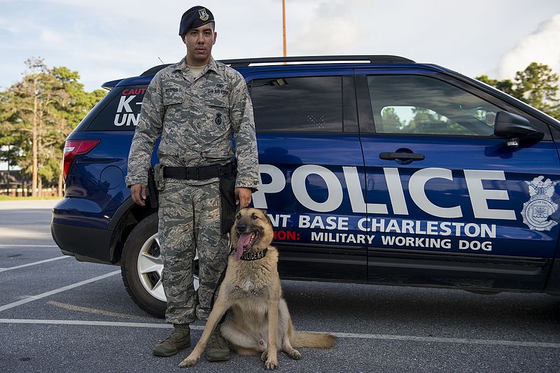 File:Airman's best friend—the military working dog 160816-F-CC297-0281.jpg