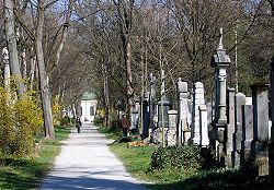 Alter Südfriedhof (Munique)