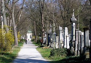 4: Alter Südfriedhof