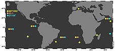 Location and distribution of Alteromonas macleodii strains MIT1002, 83-1 and 27126 in TARA Ocean metagenomes. Alteromonas macleodii locations in TARA Ocean Metagenomes.jpg
