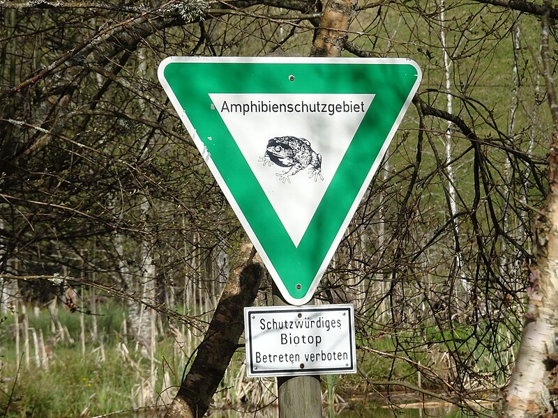 File:Amphibienschutzgebiet Seebachtal 02.jpg