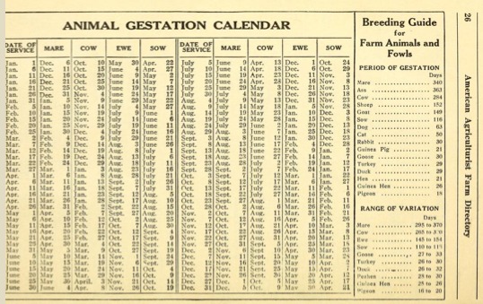 File:Animal gestation calendar for horses - cows - sheep - pigs -1917.tiff