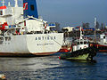 Le cargo Antigua en manoeuvres serrées dans le port de Concarneau, guidé par une remorqueur 2