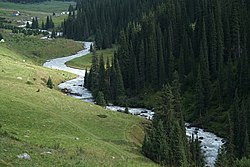 Arashan Sungai di Altyn Arashan, Kyrgyzstan.jpg