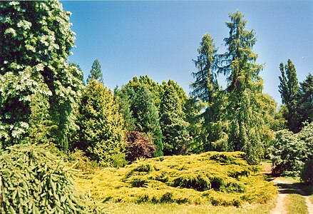 L'arboretum national des Barres.